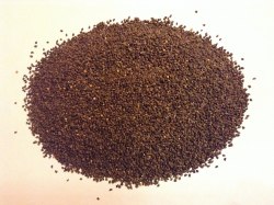 Синяк обыкновенный (сорт "Эхиум", РСТ)