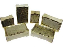 Деревянная рамка для секционного мёда (67х115х37 с прорезью)