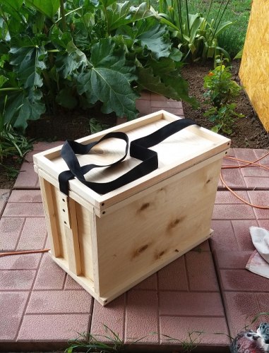 Ящик для переноски рамок