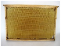 Сушь на ульевой рамке (435*300 мм)